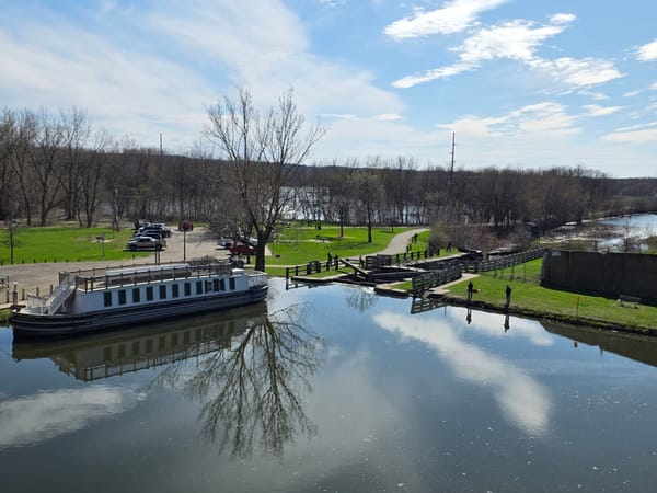 Cats, a Canal, and a Shredded Tire: Our Wild Road Trip Kickoff
